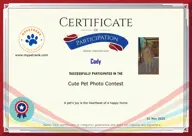 Locked Certificate Preview