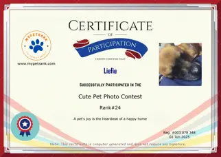 Certificate Preview