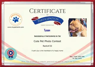 Certificate Preview