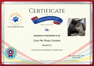 Certificate Preview
