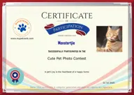 Locked Certificate Preview