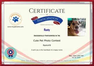 Certificate Preview