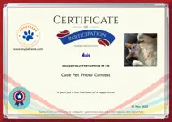 Locked Certificate Preview