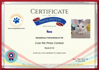 Certificate Preview