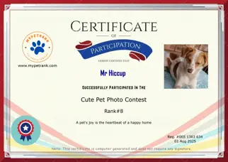 Certificate Preview