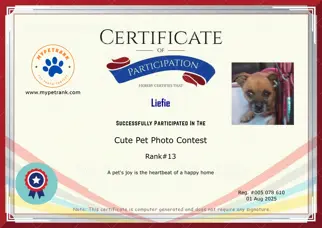 Certificate Preview