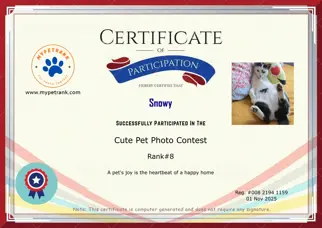 Certificate Preview