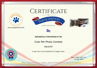Certificate Preview