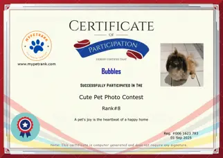 Certificate Preview