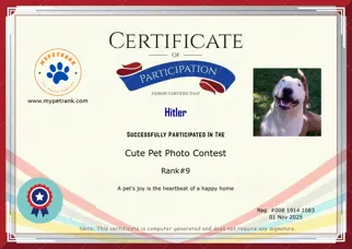 Certificate Preview