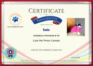 Locked Certificate Preview