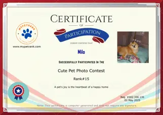 Certificate Preview