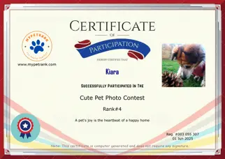 Certificate Preview