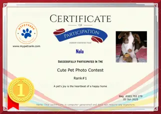 Certificate Preview