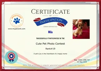 Certificate Preview