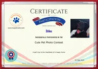 Locked Certificate Preview