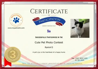 Certificate Preview