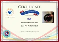 Locked Certificate Preview