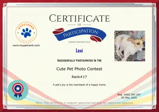 Certificate Preview