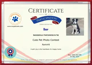 Certificate Preview