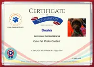 Locked Certificate Preview