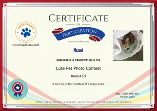 Certificate Preview