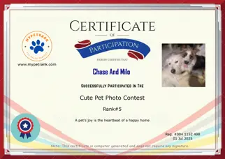 Certificate Preview