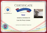 Locked Certificate Preview