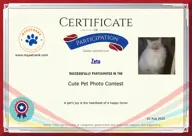 Locked Certificate Preview