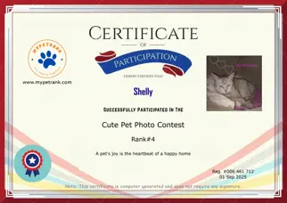 Certificate Preview