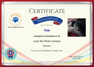 Certificate Preview