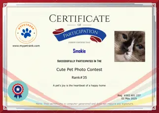 Certificate Preview