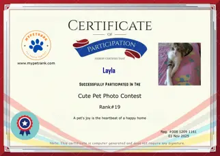 Certificate Preview
