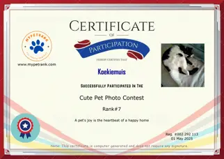 Certificate Preview