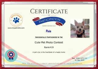 Certificate Preview