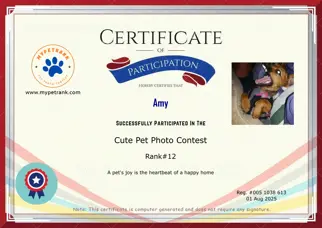 Certificate Preview