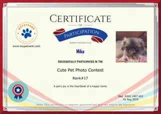 Certificate Preview
