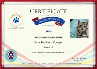 Certificate Preview