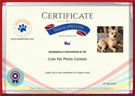 Locked Certificate Preview