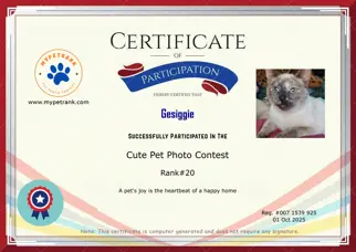 Certificate Preview