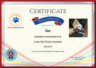 Certificate Preview