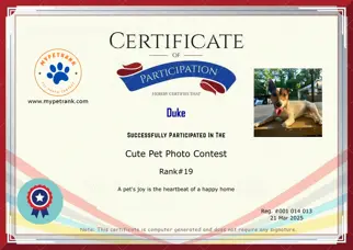 Certificate Preview