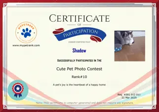 Certificate Preview