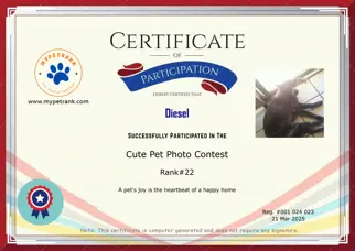 Certificate Preview
