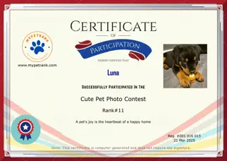 Certificate Preview