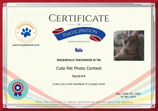 Certificate Preview