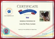 Locked Certificate Preview