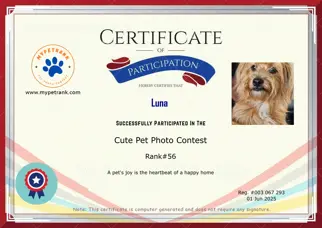 Certificate Preview