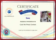 Locked Certificate Preview