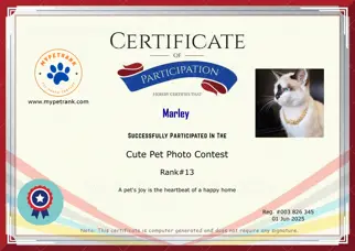 Certificate Preview